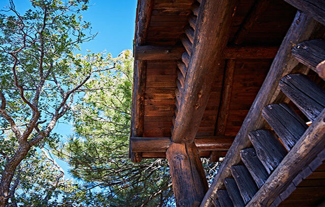 Grand Canyon Lodge North Rim Zewnętrze zdjęcie